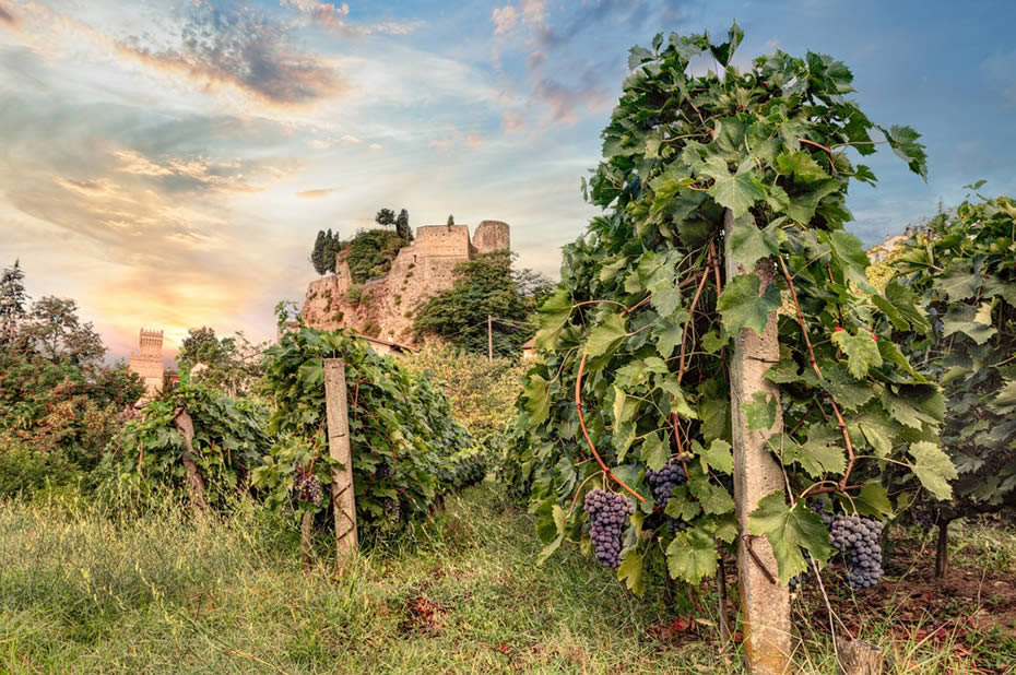Tìm Hiểu Về Vùng Rượu Vang Emilia – Romagna